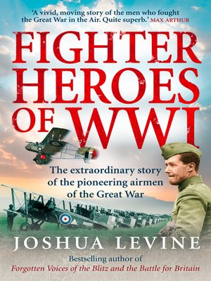 cover image of Fighter Heroes of WWI